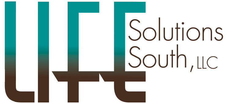 Life Solutions South